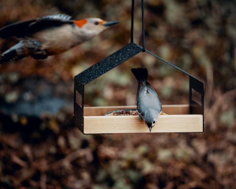 Outdoor Gardening Garden Decoration Hanging Bird Feeder photo 2