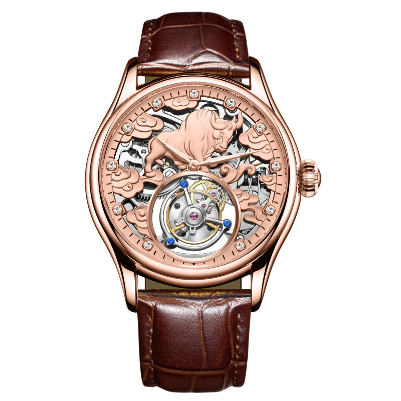 Double-sided Gemstone Glass Mechanical Watch photo 6