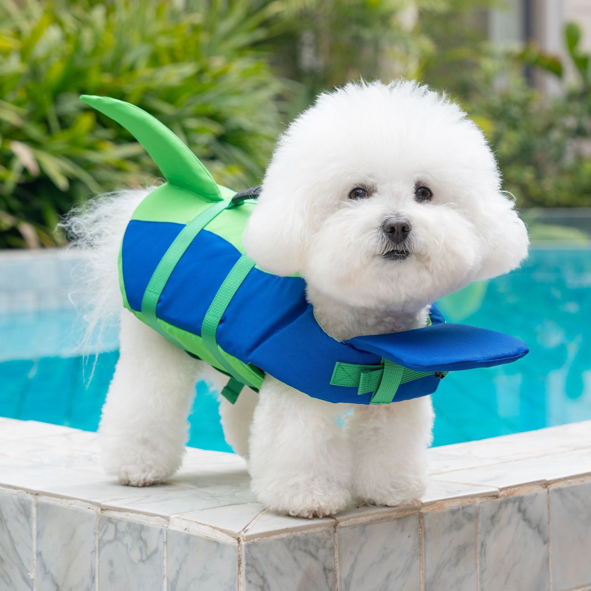 Pet Life Jacket Pet Supplies Dog Life Jacket photo 8