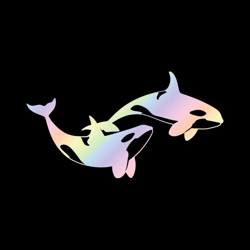 Orca Car Window And Rear Bumper Decorative Sticker photo 6