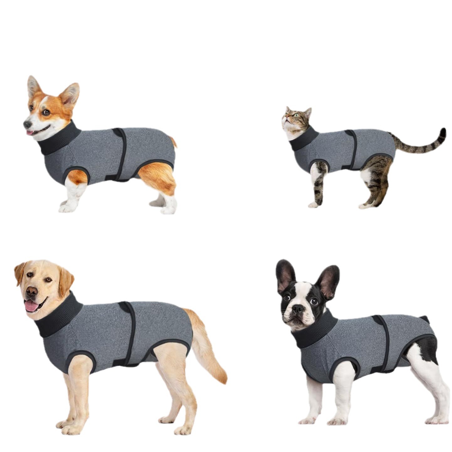 Cross-border E-commerce Amazon Bestseller Pet Spayingneutering Recovery Suit Dog Menstrual Pants To Prevent Licking And Avoid Wound Infection photo 3