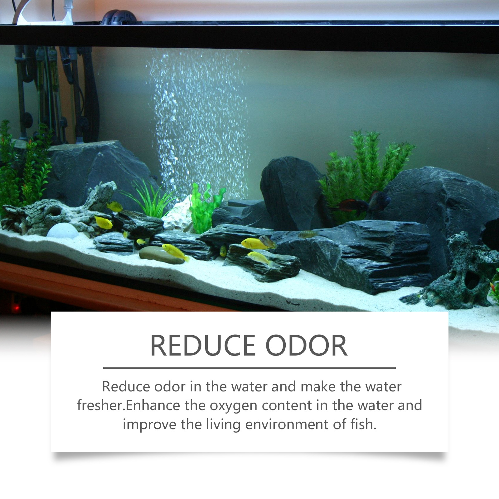 Fish Tank Water Quality Decontamination Cleaner photo 6
