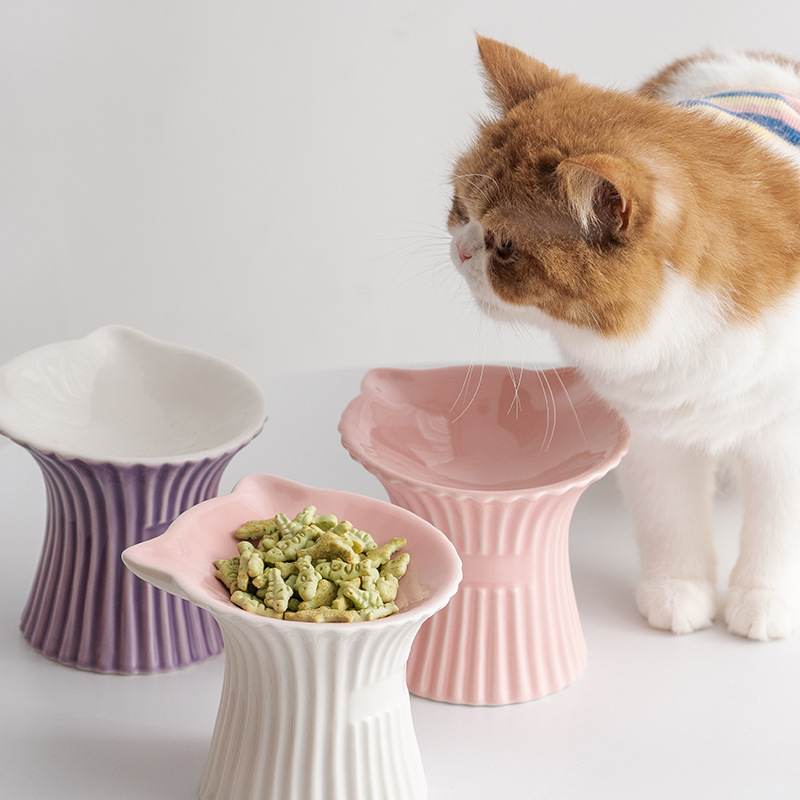 Household Stylish Cat Pet Bowl photo 1