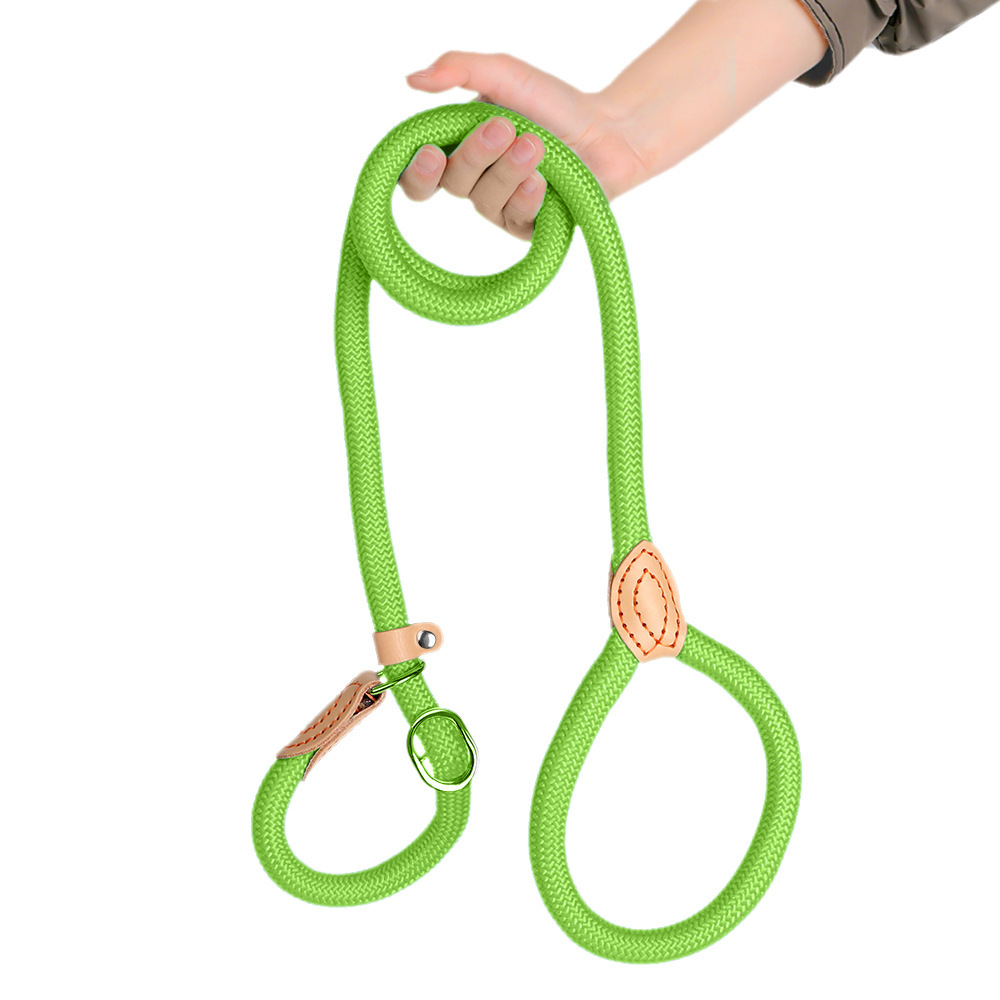Extended And Thickened Pet Leash For Dogs photo 4