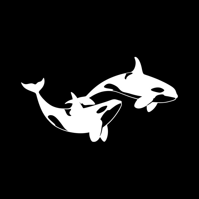 Orca Car Window And Rear Bumper Decorative Sticker photo 3