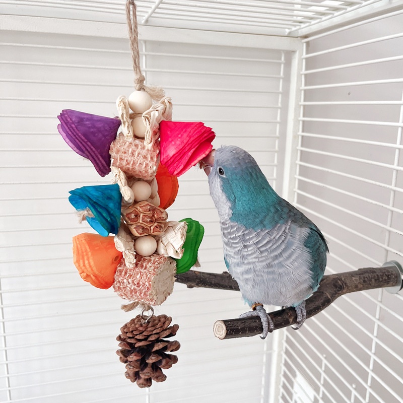 Natural Material Parrot Toy Birdcage Pendant photo 5