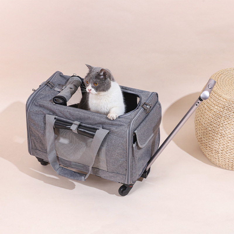 Breathable, Foldable Cat Carrier With A Pull Handle For Outdoor Pet Transport photo 1