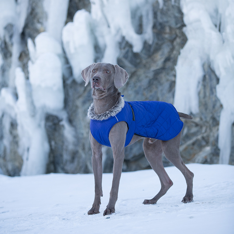 Pet Clothing Cotton Coats Wholesale, Winter Heavy-duty Jackets For Large Dogs photo 8
