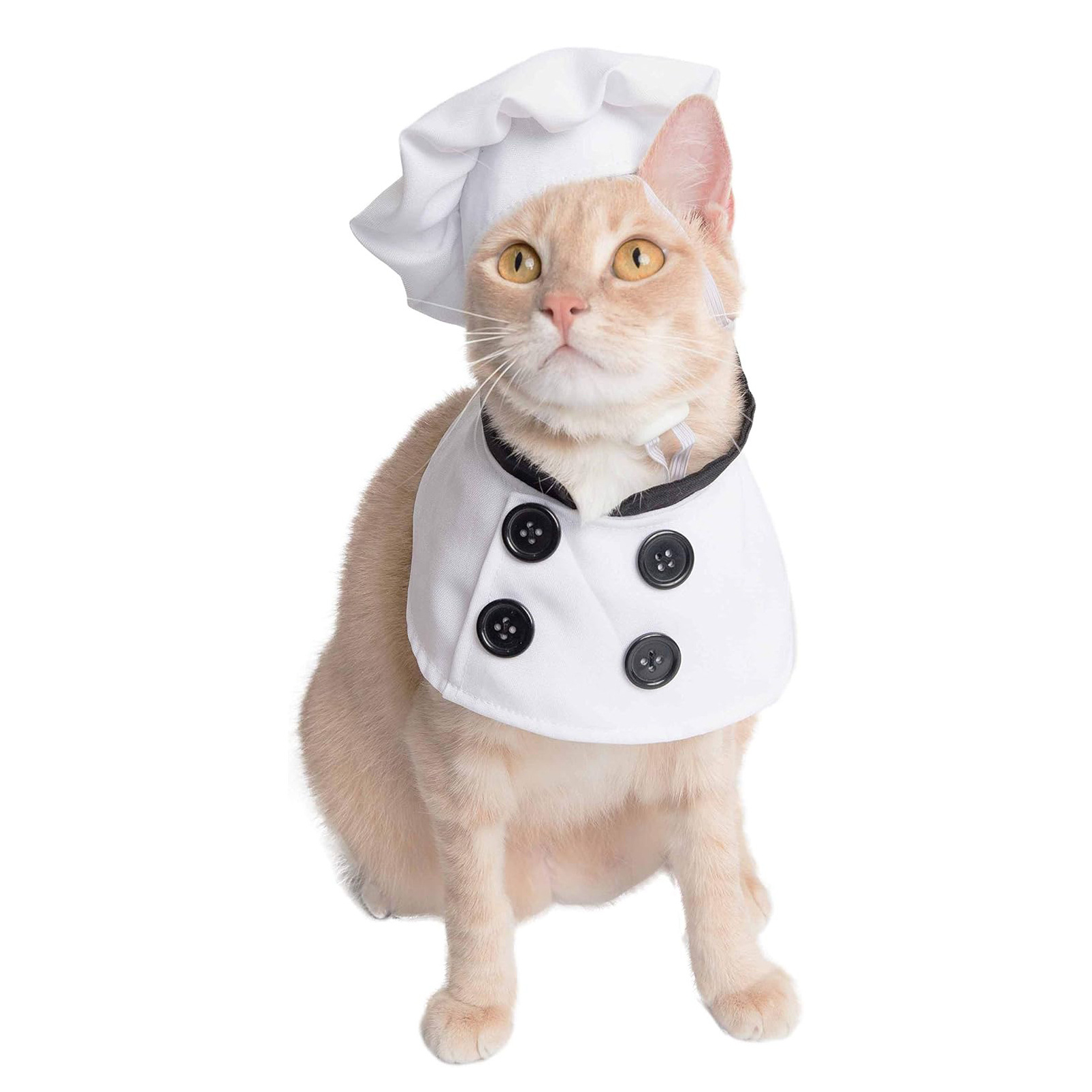 Personalized Pet Halloween Costume Set photo 3