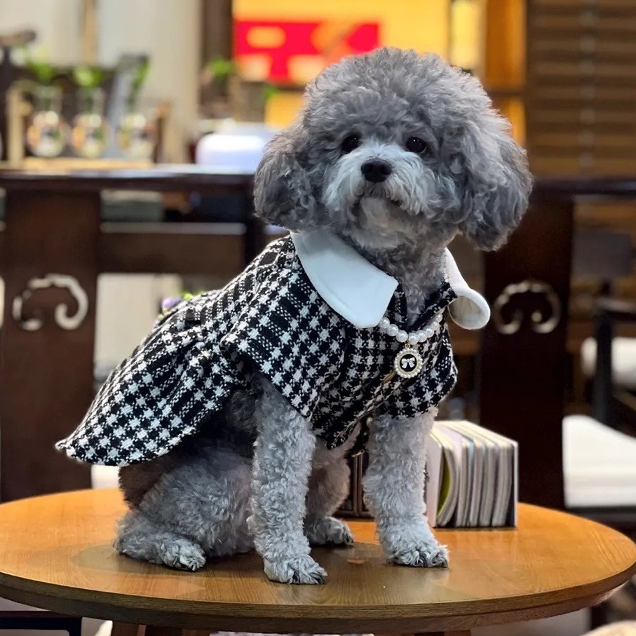 Trendy Warm Pet Clothes For Dogs And Cats photo 1