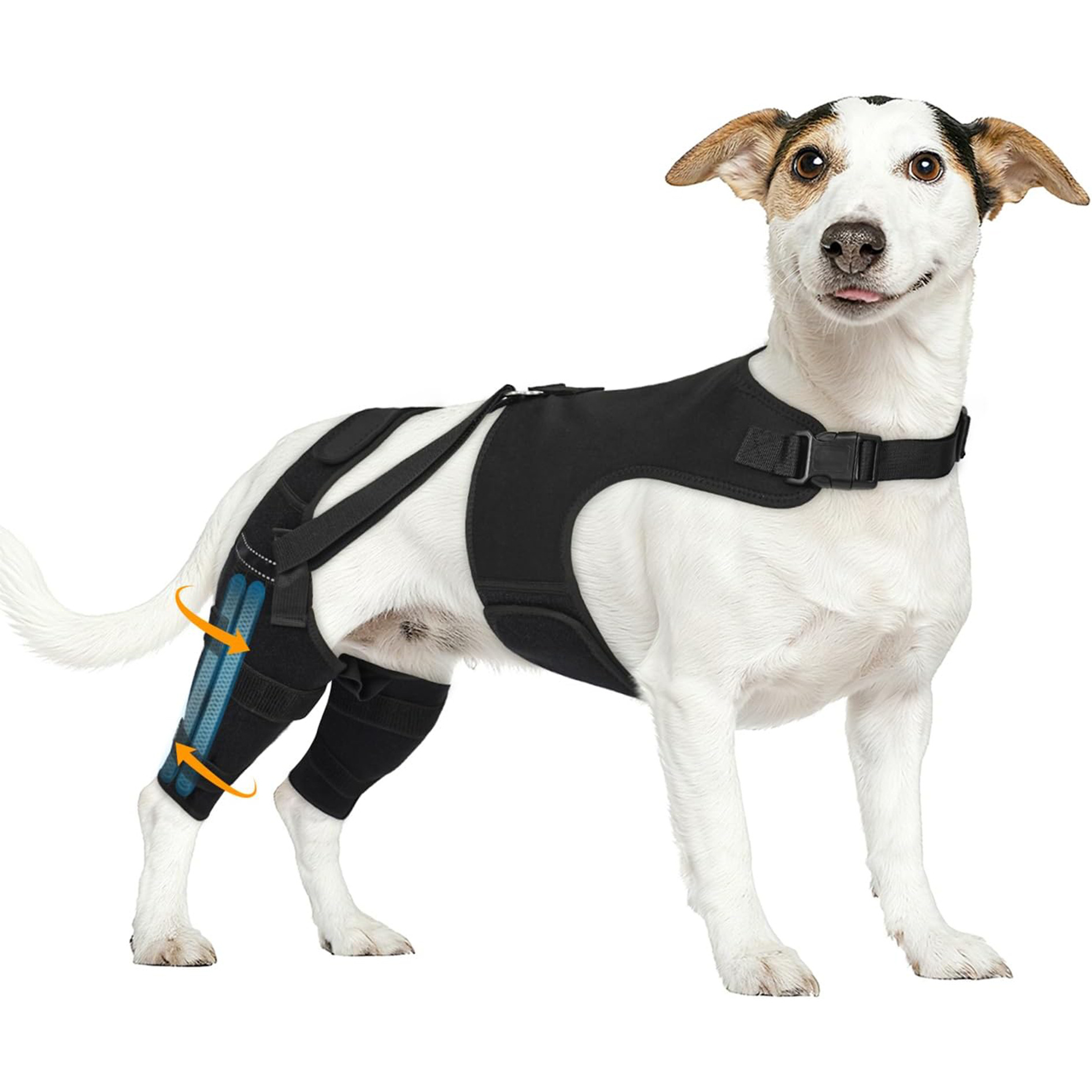 Pet Dog Rear Leg Protective Gear photo 3