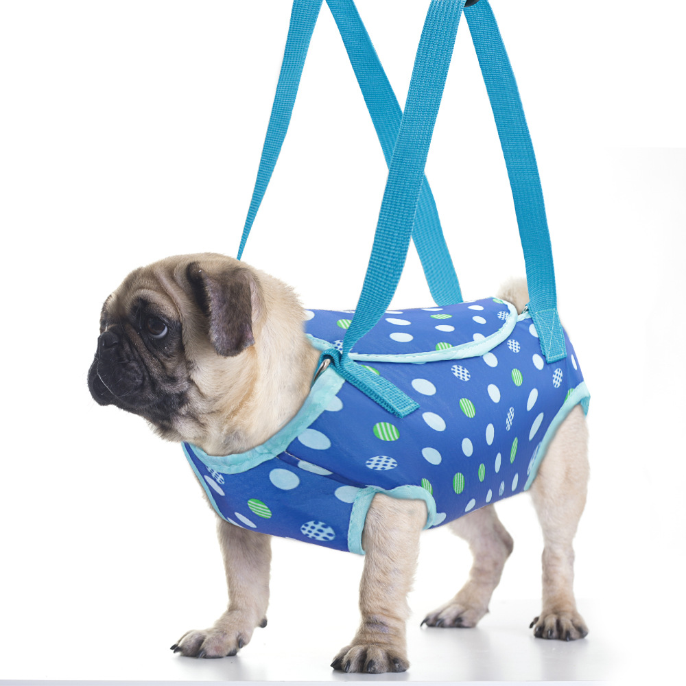 Small Single-shoulder Breathable Crossbody Dog Carrier For Pet Outings photo 5