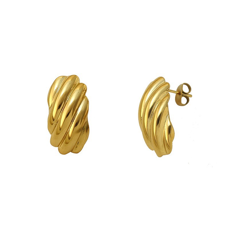 Simple And Versatile Ladies' 316 Stainless Steel Earrings photo 2