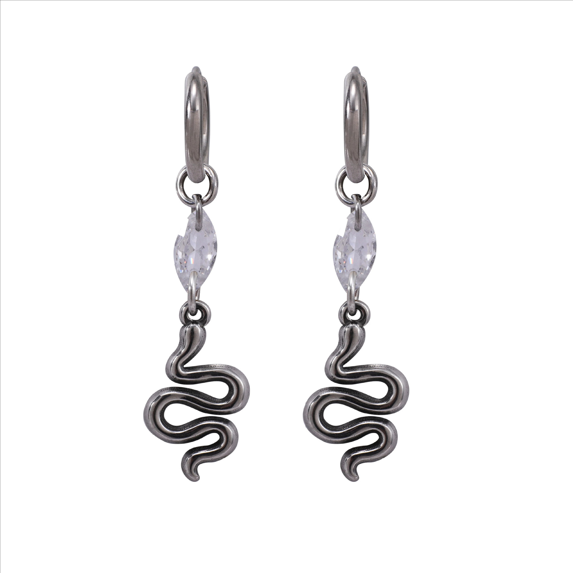 Serpentine Hip-hop Titanium Steel Earrings photo 4