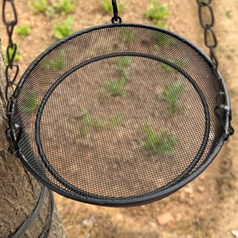 Hanging Bird Feeder Wrought Iron Round Tray Feeder photo 1