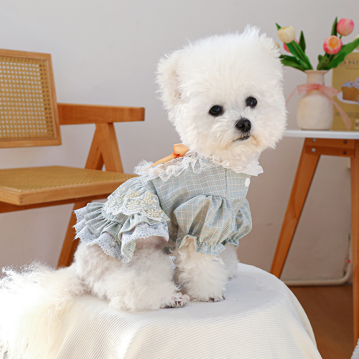 Court-style Cute Small Dog Lace Skirt photo 4