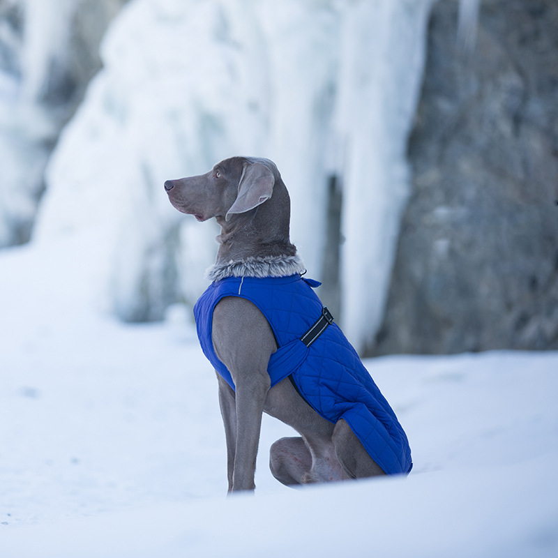 Pet Clothing Cotton Coats Wholesale, Winter Heavy-duty Jackets For Large Dogs photo 6