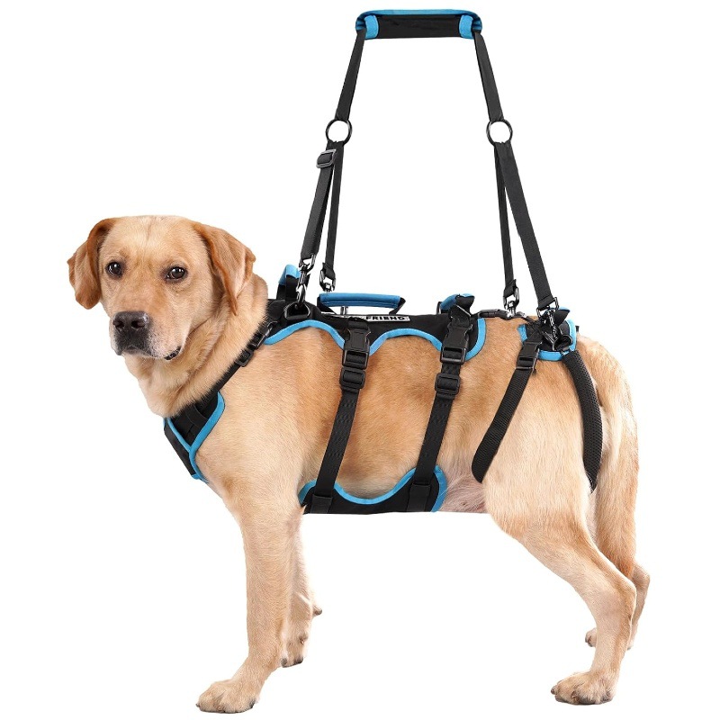 Walking Rehabilitation Training Aid For Senior Dogs Large-breed Dog Harness photo 4