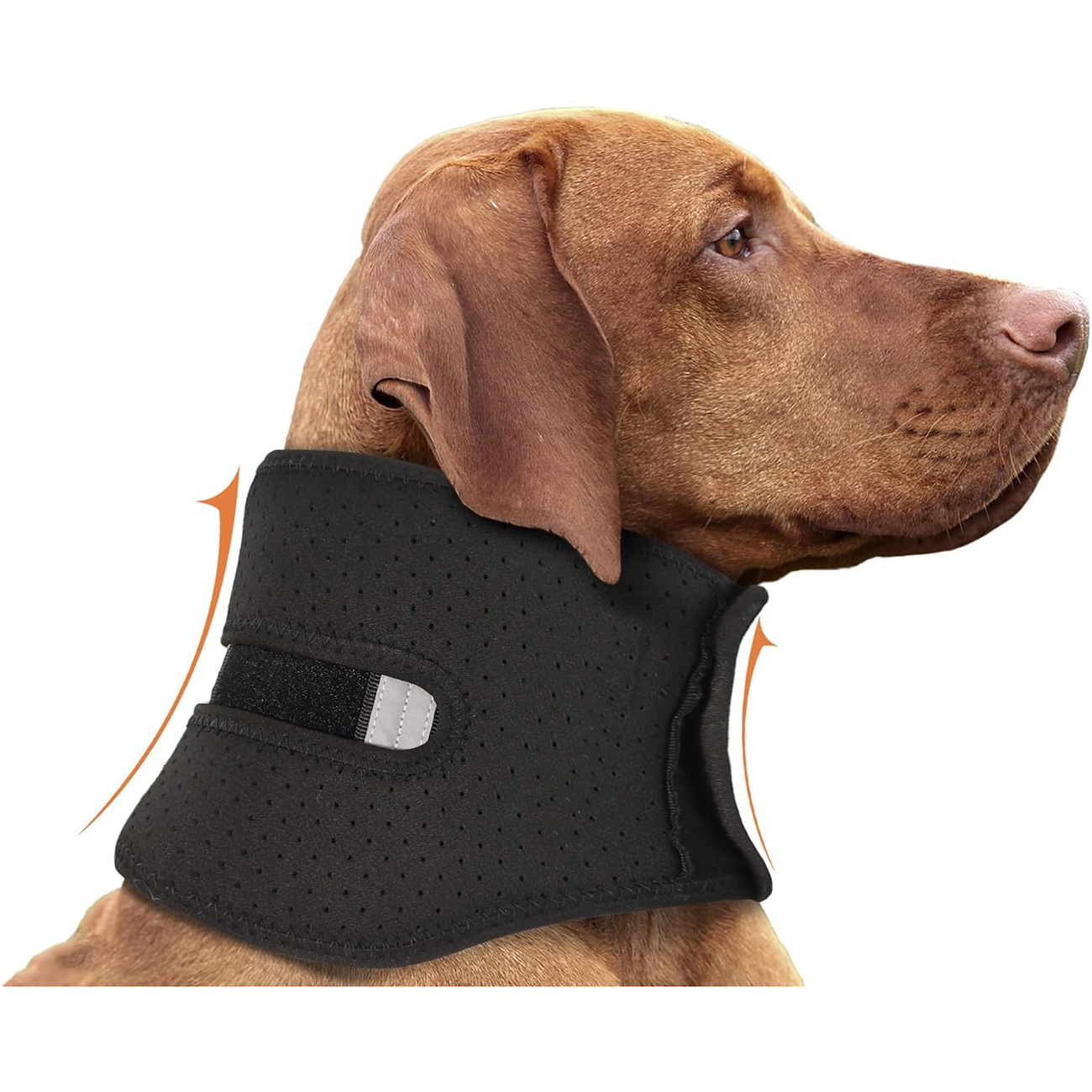Adjustable Pet Collar For Post surgery Stability And Protection Against Neck Sprains photo 2