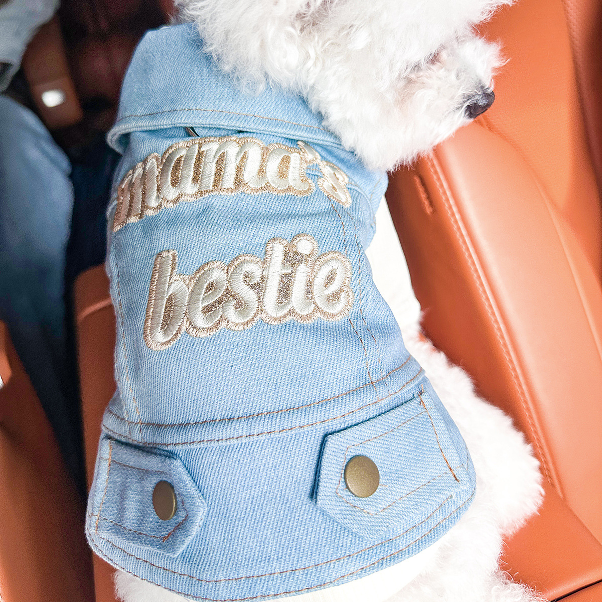 Dog And Cat Clothes Stylish Denim Outfits For Pets photo 4