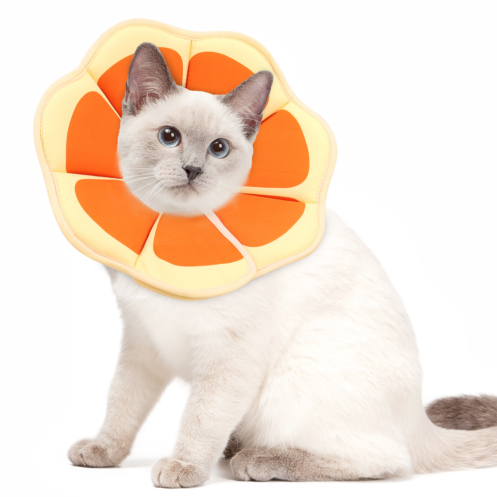 Cartoon-printed Elizabethan Collar Pet Protector photo 2