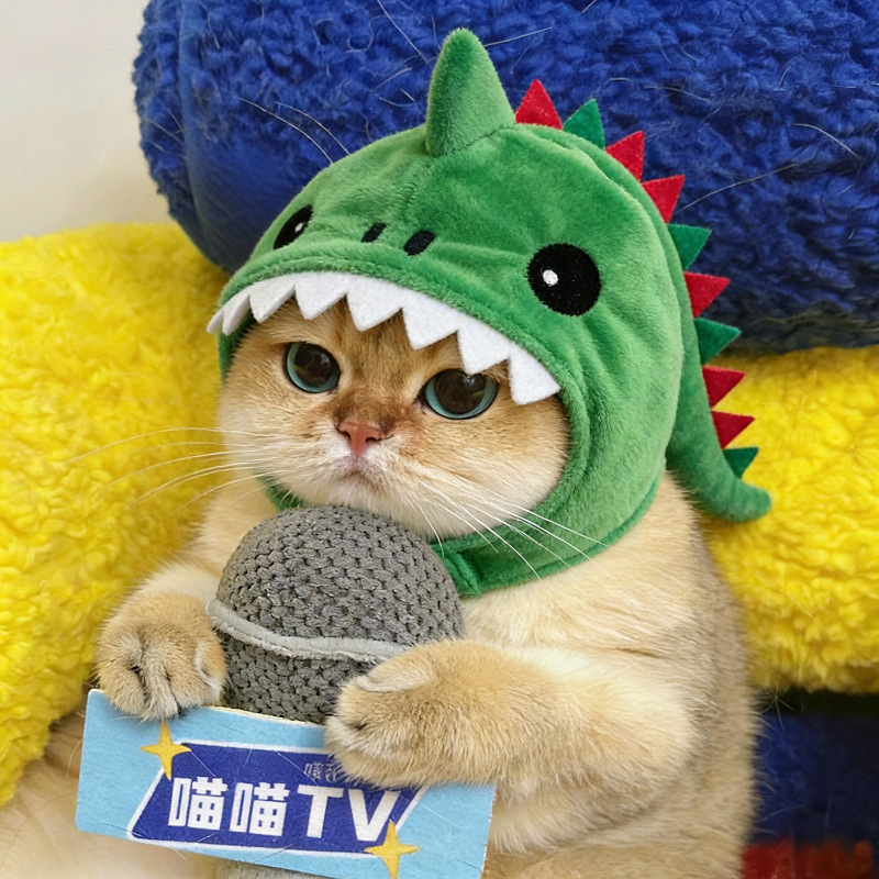 Pet Cat Dinosaur Hooded Warm Hat photo 1