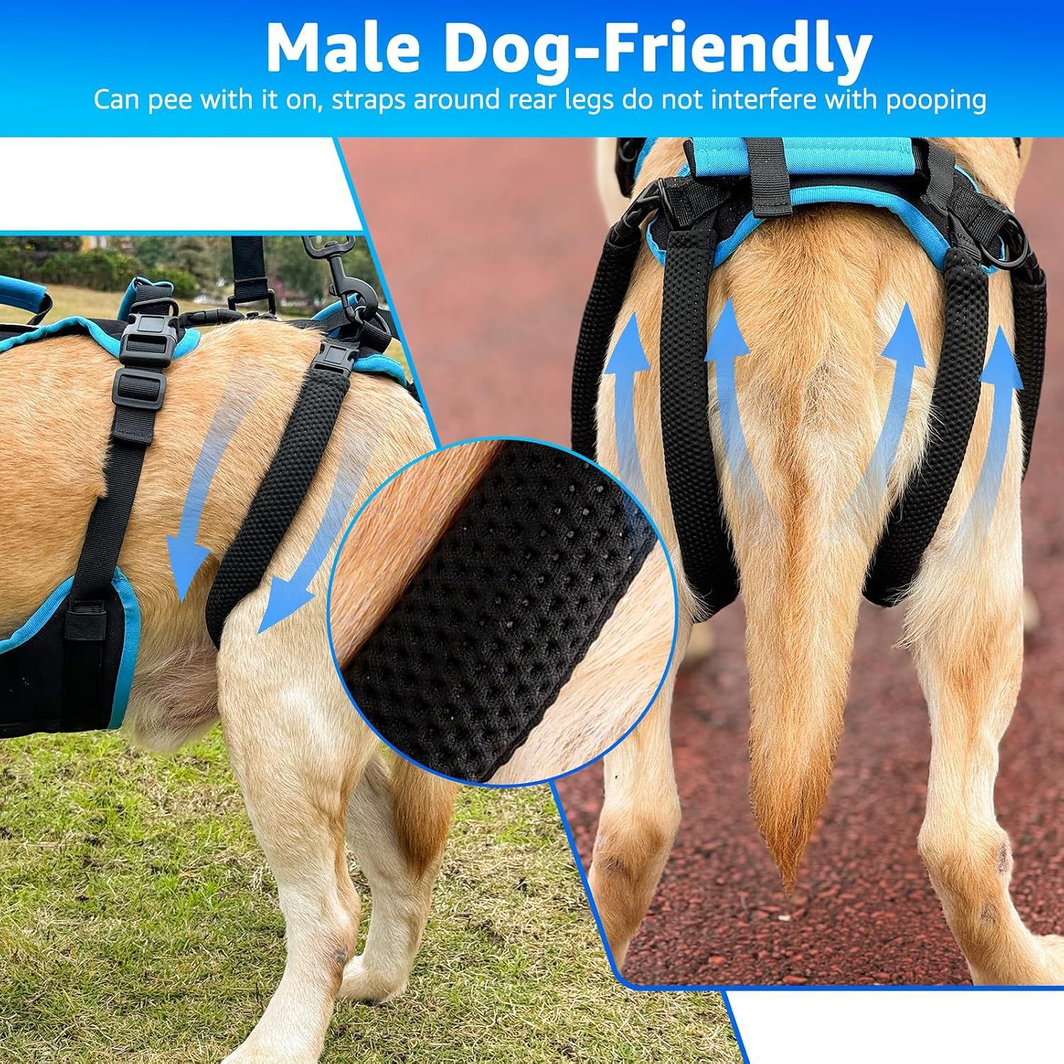 Walking Rehabilitation Training Aid For Senior Dogs Large-breed Dog Harness photo 5