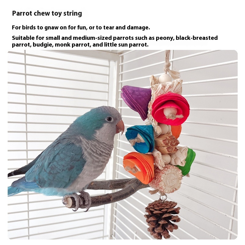 Natural Material Parrot Toy Birdcage Pendant photo 8