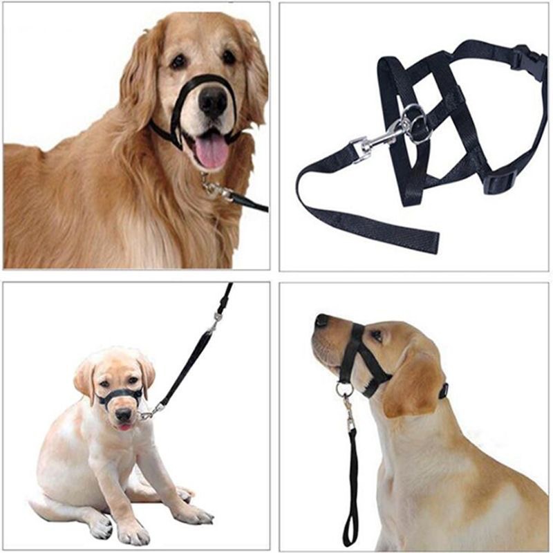Short-handled Leash For Walking Dogs photo 6