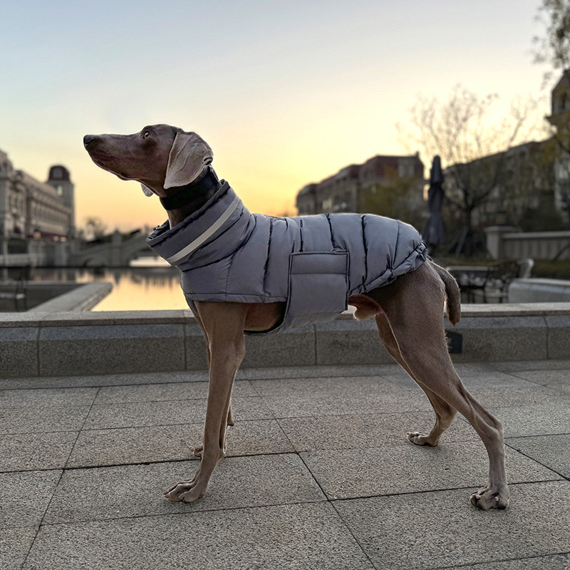 Winter Cotton Padded Pet Clothes photo 4