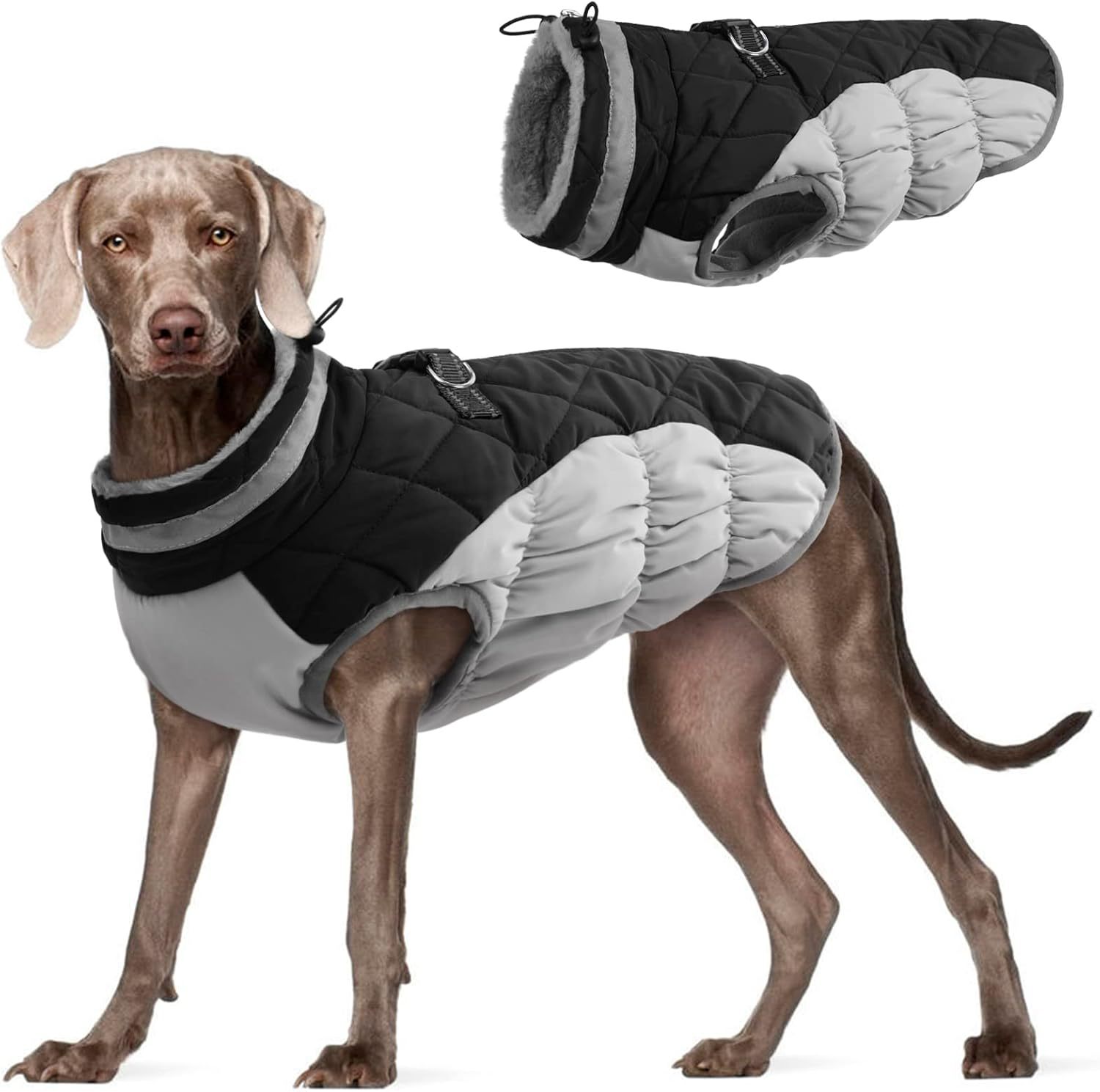 Pet Clothing Dog Padded Coat Winter Windproof Warm Dog Padded Coat photo 7