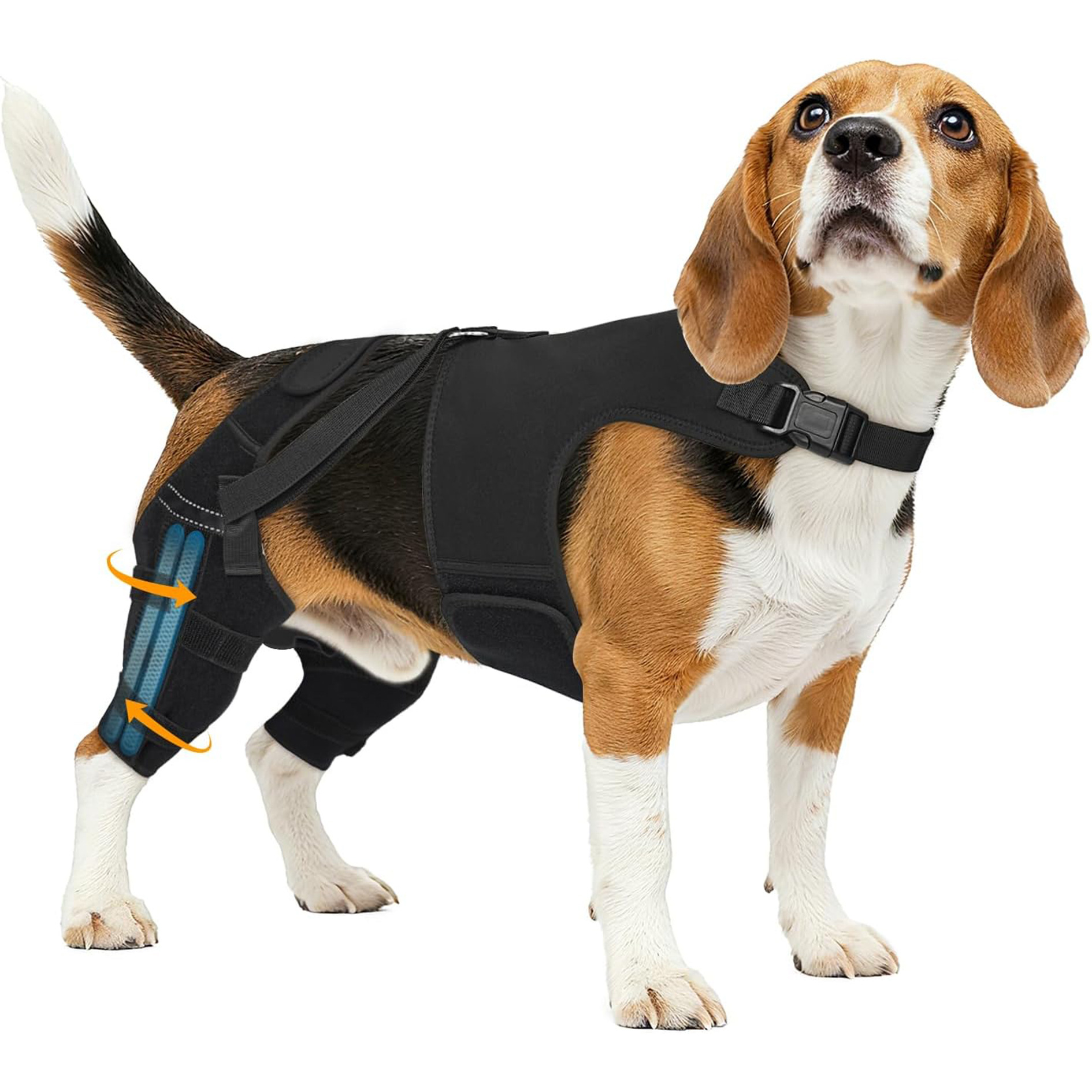 Pet Dog Rear Leg Protective Gear photo 4