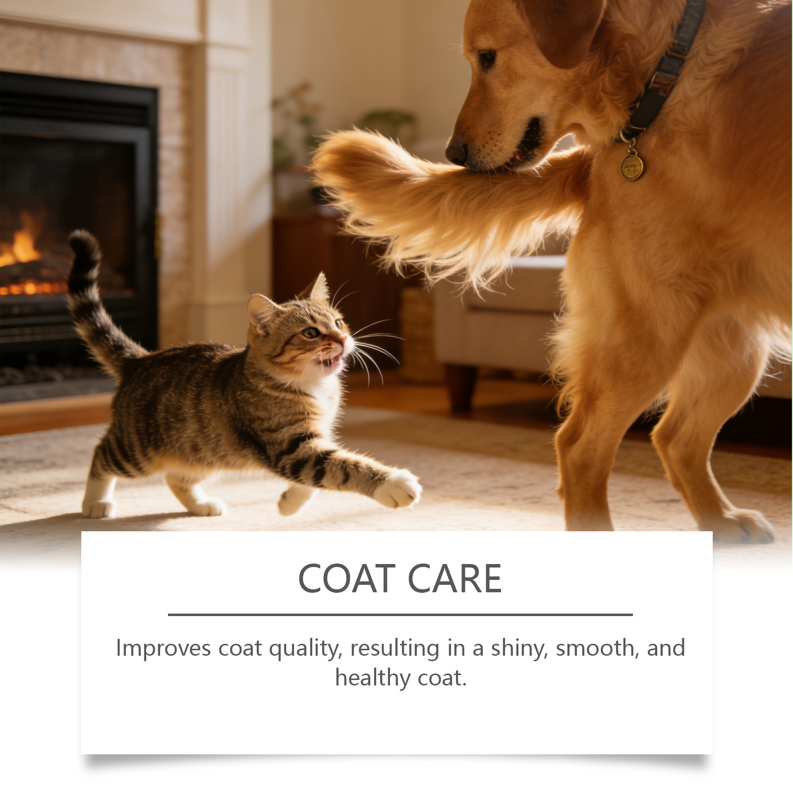 Pet Body Home Care Supplements For Cats And Dogs photo 3