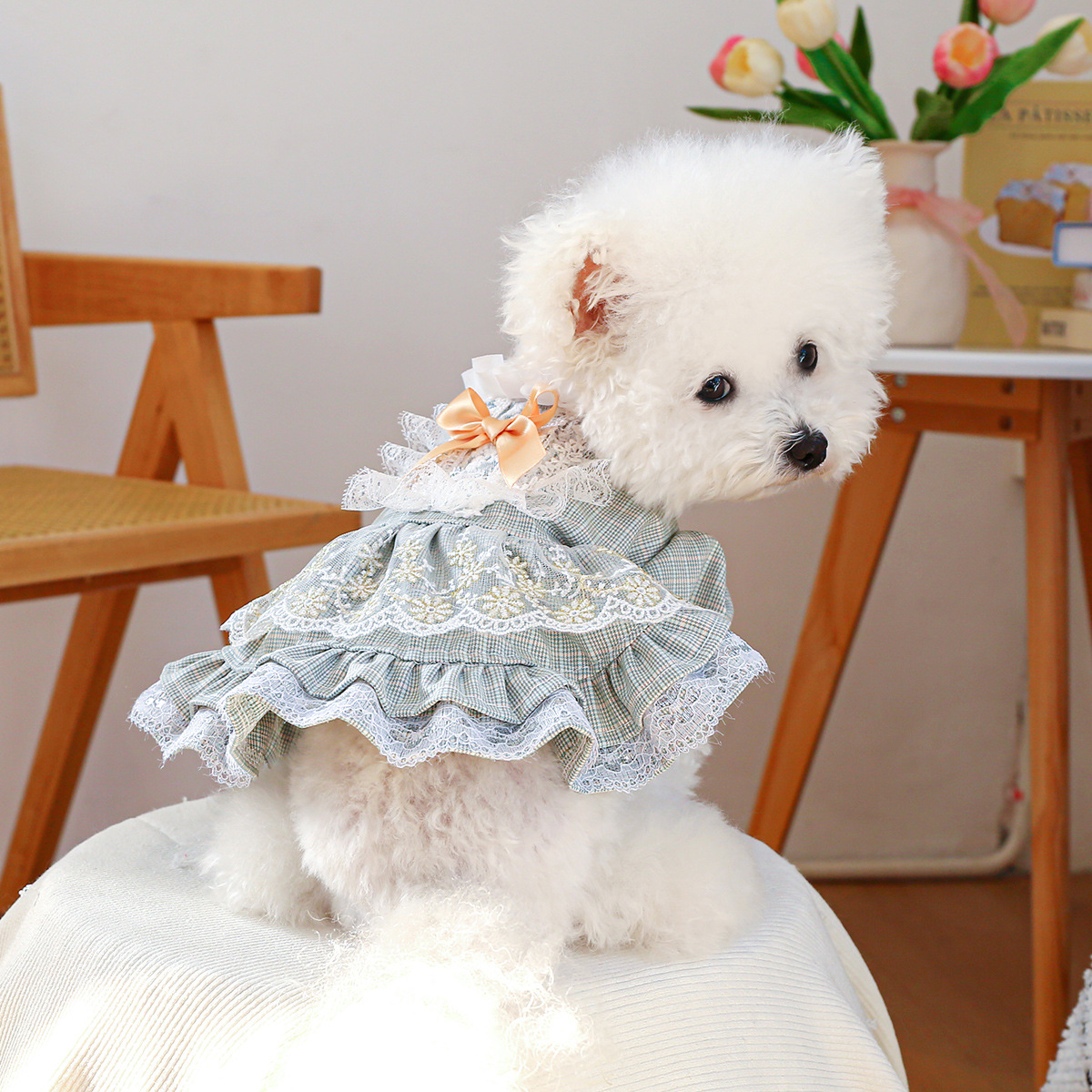 Court-style Cute Small Dog Lace Skirt photo 1