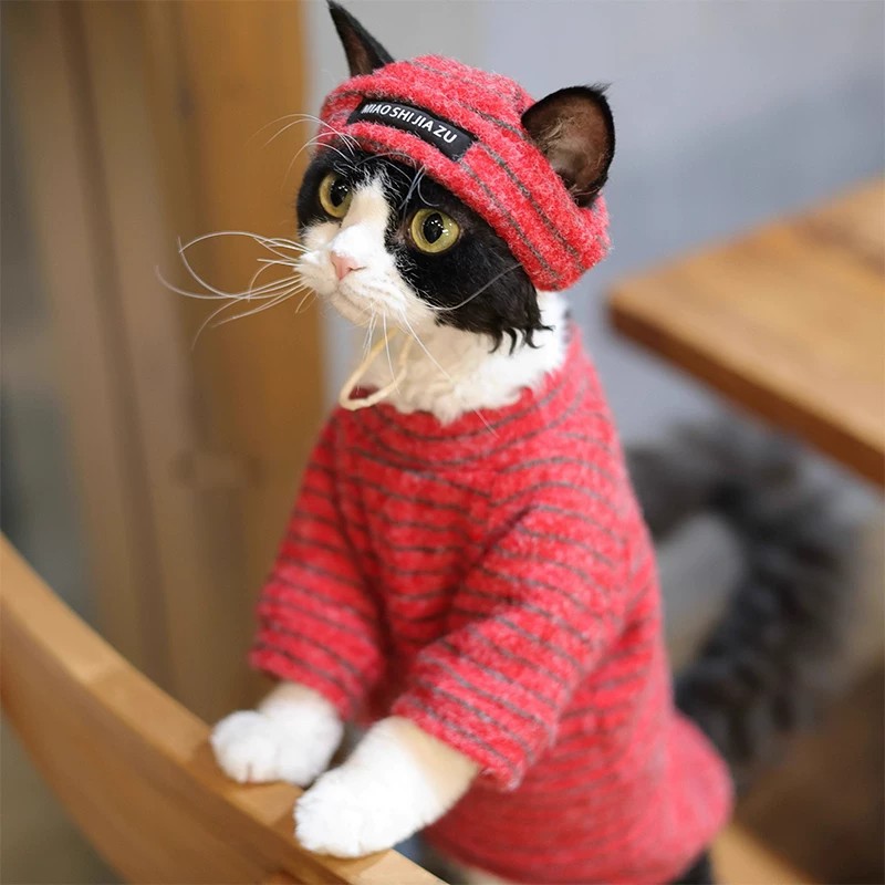 Pet Cat Two-legged Fleece Clothing photo 3