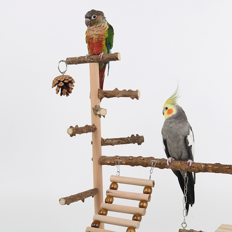 Sichuan Pepper Parrot Climbing Training Platform photo 3