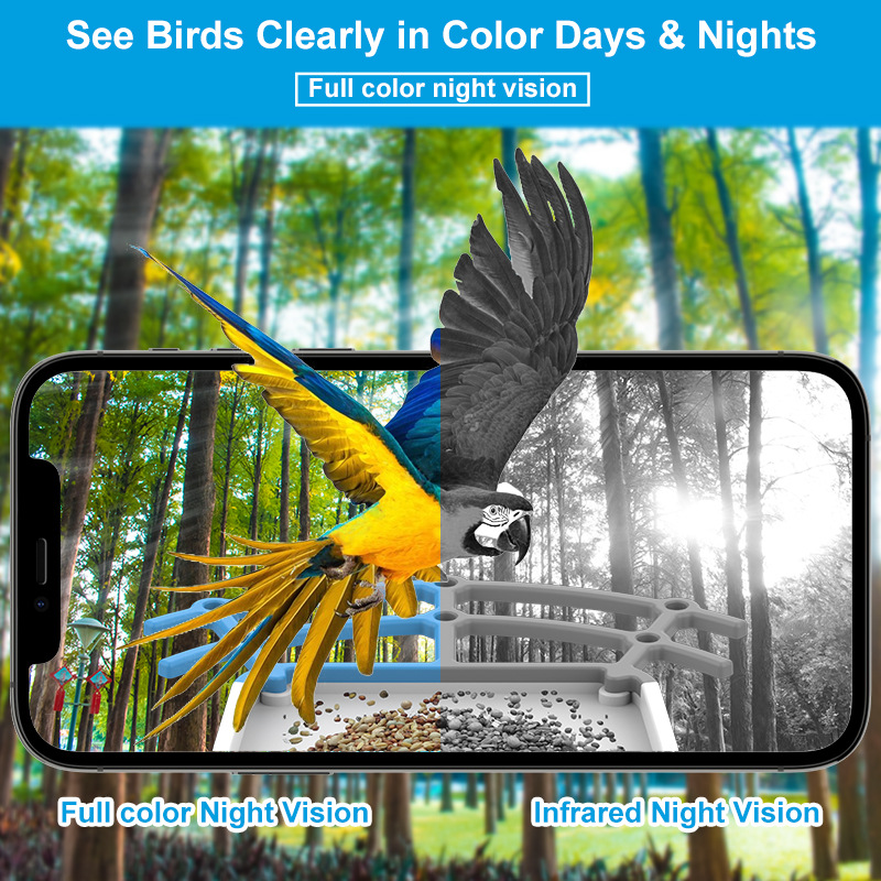 Intelligent Bird Feeding Recognition Solar HD Feeder photo 5