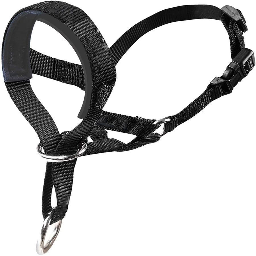 Short-handled Leash For Walking Dogs photo 4