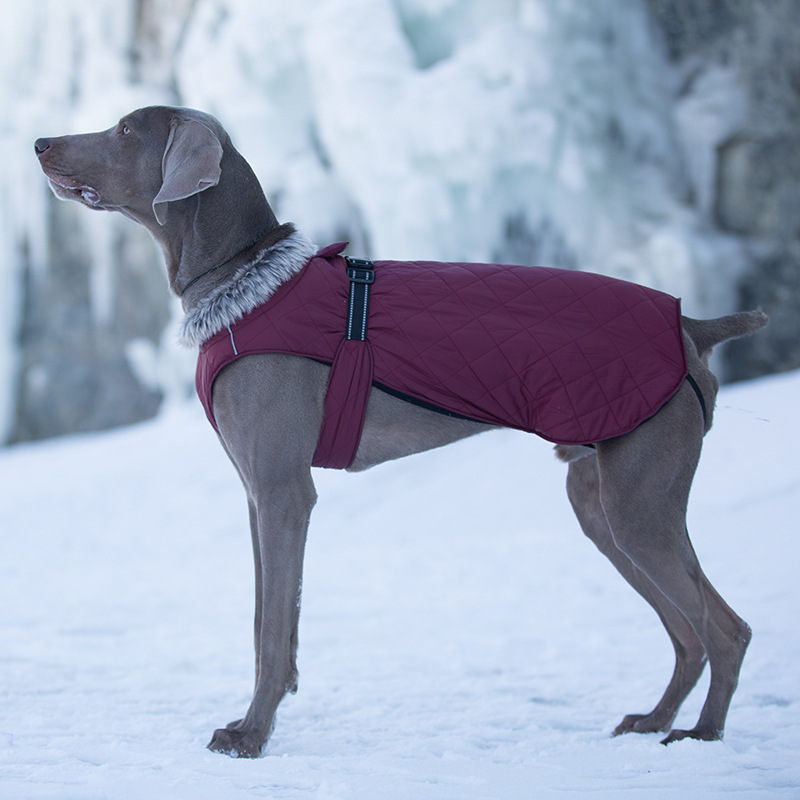 Pet Clothing Cotton Coats Wholesale, Winter Heavy-duty Jackets For Large Dogs photo 5