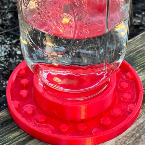 Hummingbird Bee Feeding Bird Feeder photo 4