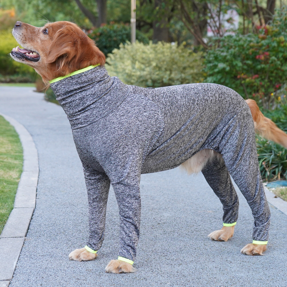 Border Collie And Golden Retriever Large Dog Four-legged Coat That Doesnt Attract Fur photo 5