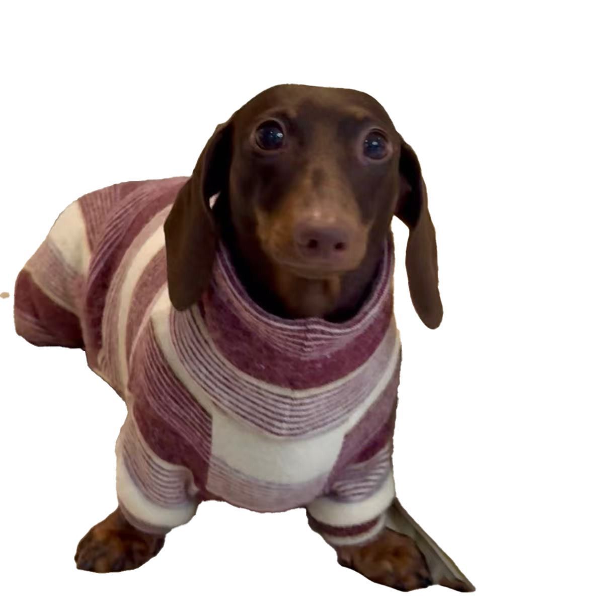 Winter-Proof Dachshund Pet Clothes Autumn And Winter High-Neck Style photo 7