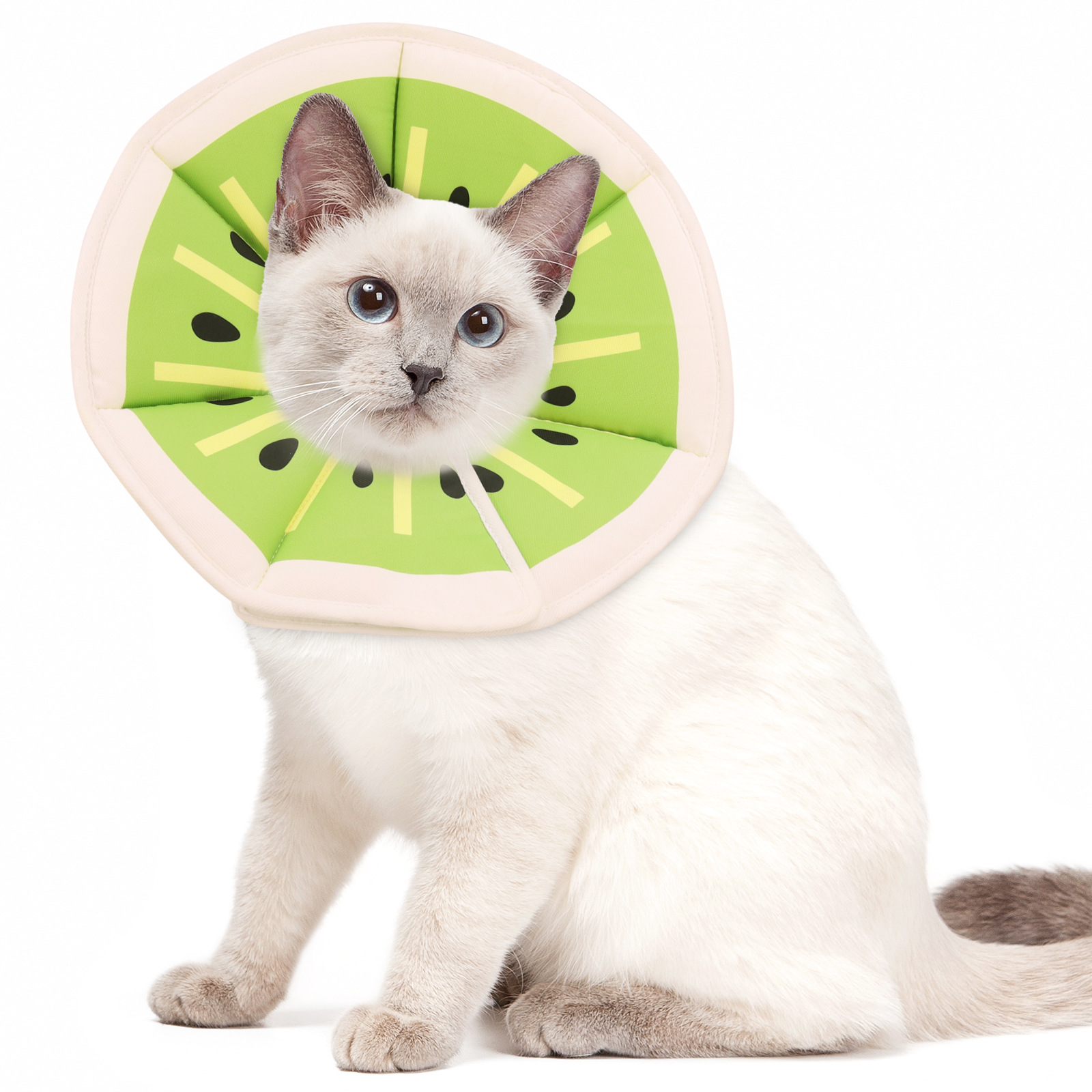 Cartoon-printed Elizabethan Collar Pet Protector photo 4