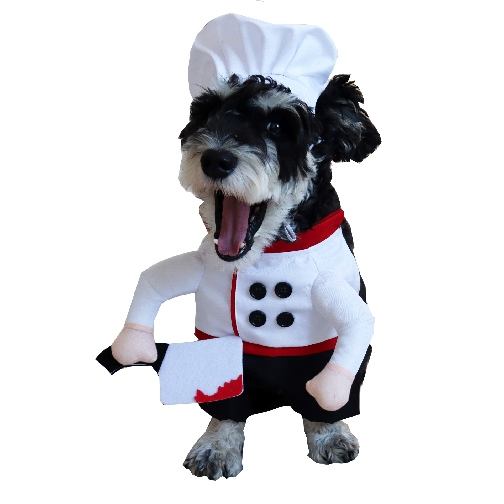 Winter Cotton Coat For Pet Dogs photo 4