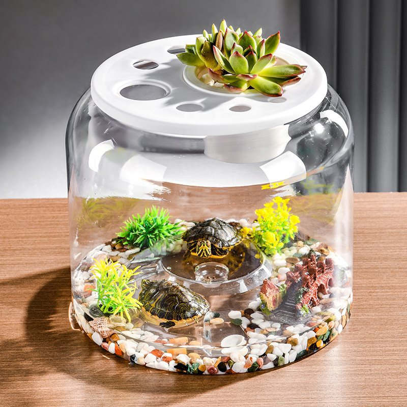 Transparent Plastic Ecological Desktop Landscaping Feeding Fish Tank photo 3