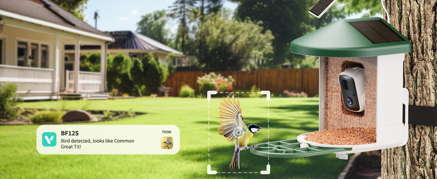 Smart Feeder Surveillance Wireless Camera photo 8