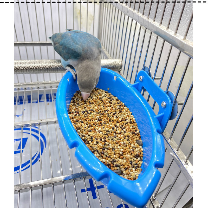 Multifunctional Feeder Bird Bathtub photo 6