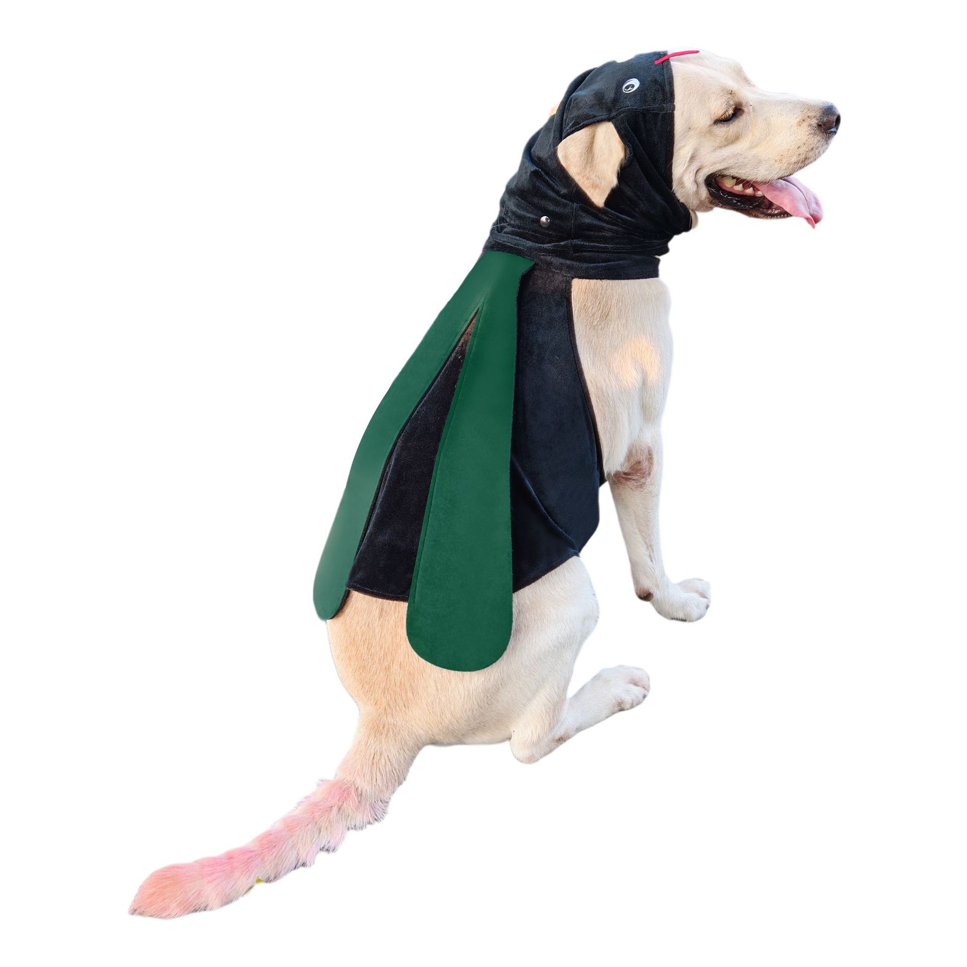 Pet Chef Costume Funny Style Universal Fit photo 5