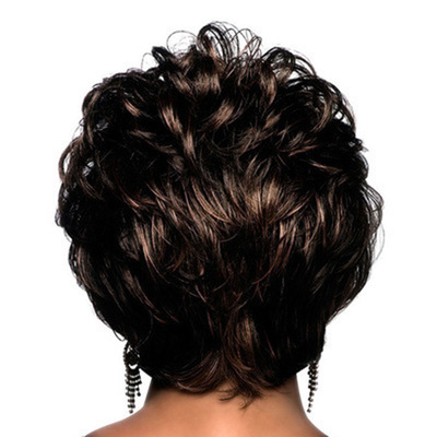 European And American-style Personalized Fluffy Short Curly Wig Cap photo 3