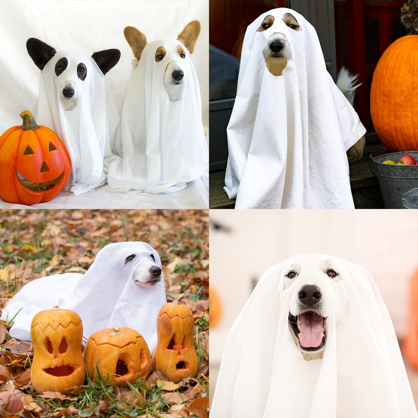 Halloween Ghost Costume Props and Decorations - Party Supplies for Holiday Festival Home Decoration photo 6